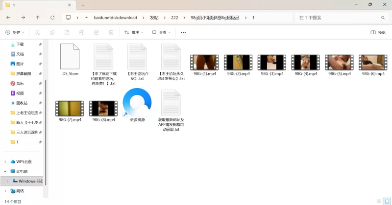 自拍 98g奶小姐姐8部极品合集【1v+5.86G】