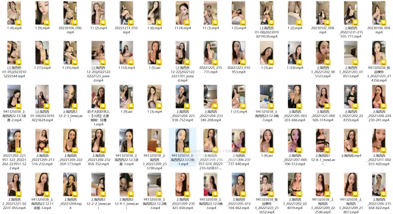 直播 高颜值G奶女神[上海西西]合集[312V/128G/度盘]【312V+128G】