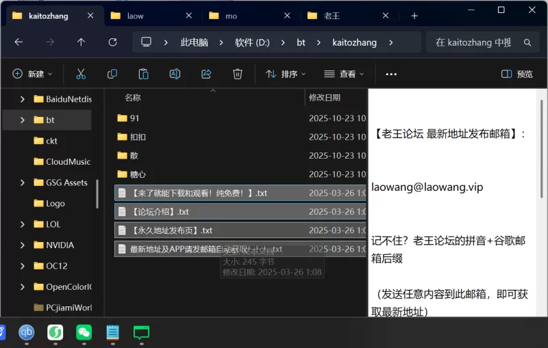 福利姬 推特博主 91兔兔/kaitozhang 29G 合集【27v+29.28GB】