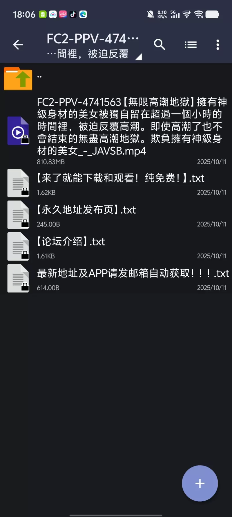高颜值 FC2-PPV-4741563[無限高潮地獄]擁有神級身材的美女被獨自【1v+810m】