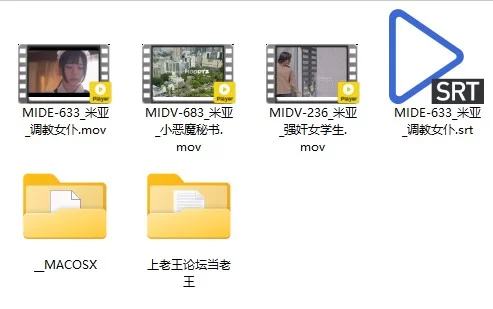 合集 自收集七泽米亚中字无码破解作品合集【3v+19.83G】