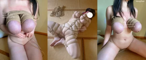 福利姬 推特92万粉丝，极品波霸女神[九儿温柔妹妹]1999元定制【1+1.8G】