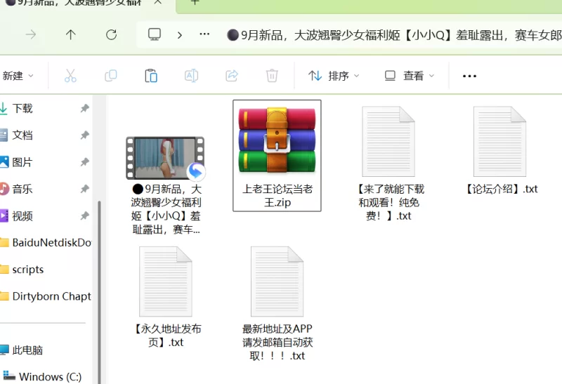 福利姬 大波翘臀少女福利姬[小小Q]羞耻露出，赛车女郎服【1+1G】