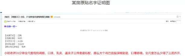 自拍 ⏪某房付费解锁⏩[网易CC]小初31分钟全尺度母狗调教【2V/4P+2.13GB】