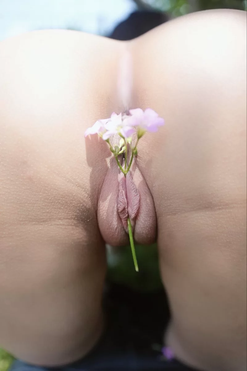 合集 各位大佬要的图片压缩来了！！！【+10mb】