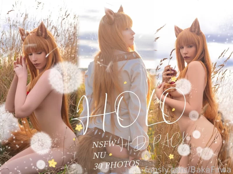 高颜值美女 狼与辛香料Baka Fuwa - Holo！【31p+300m】