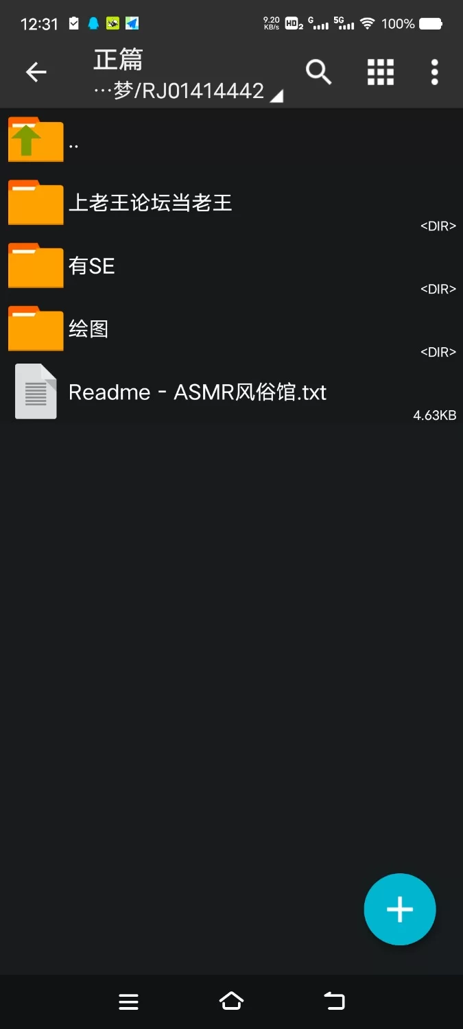 ASMR [简体中文版]公主风俗 以公主大人的王族小穴来实现大陆统一 声优【6V+200M】