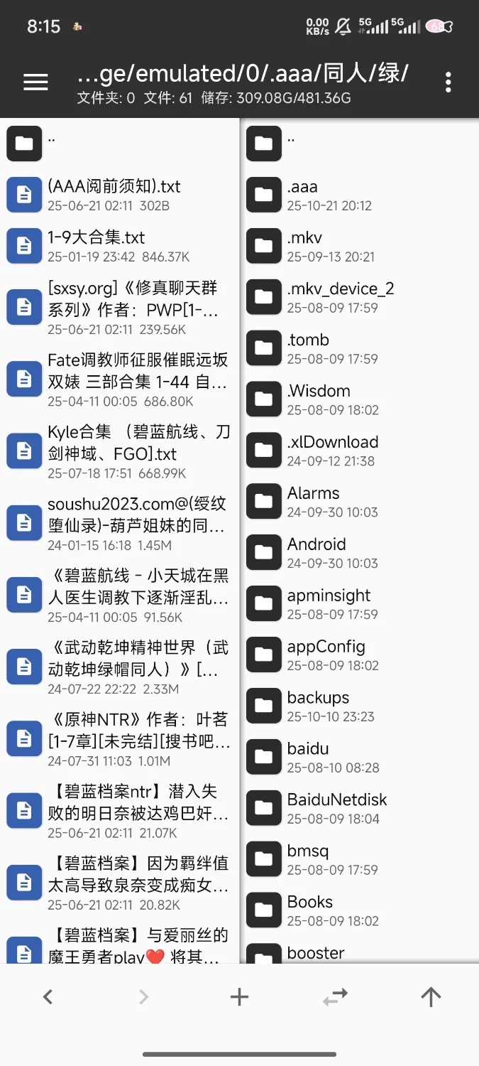 合集 小说合集1【+1G】