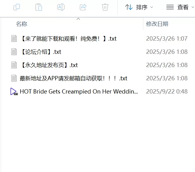 少妇 巨乳婚纱内射，第一视角【1v+700M】