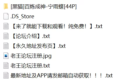 有撸点 [黑猫]百炼成神-宁雨蝶【44P+503M】