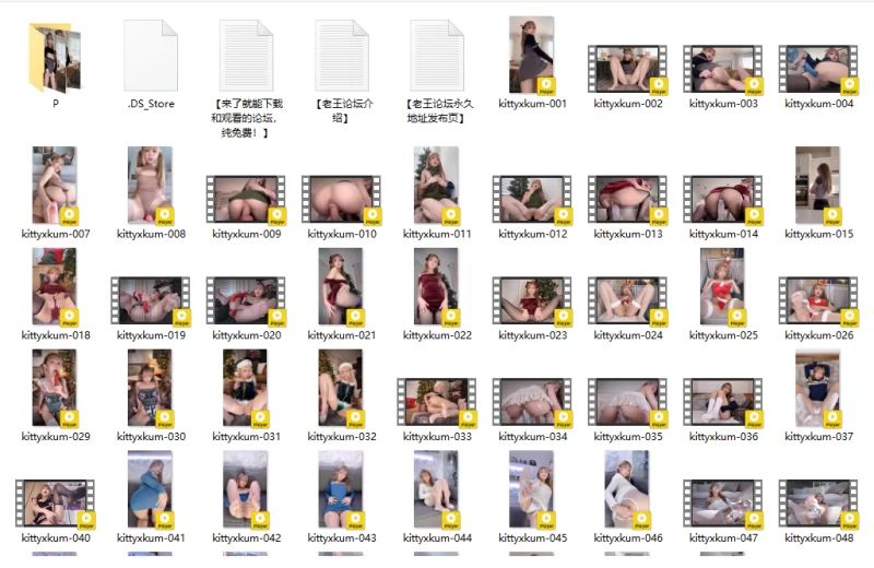 合集 福利姬天花板~可盐可甜~Onlyfans极品福利姬[Kittyxkum_绯红小猫【206V+9077P+25G】