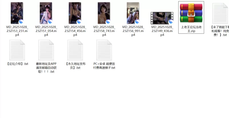福利姬 快手颜值反差性感小飞粥情趣丝袜诱惑语诱惑定制私拍【1+511M】