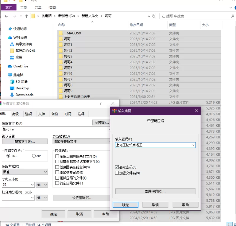 虚拟人 绝区零 妮可小合集【10本+1G】