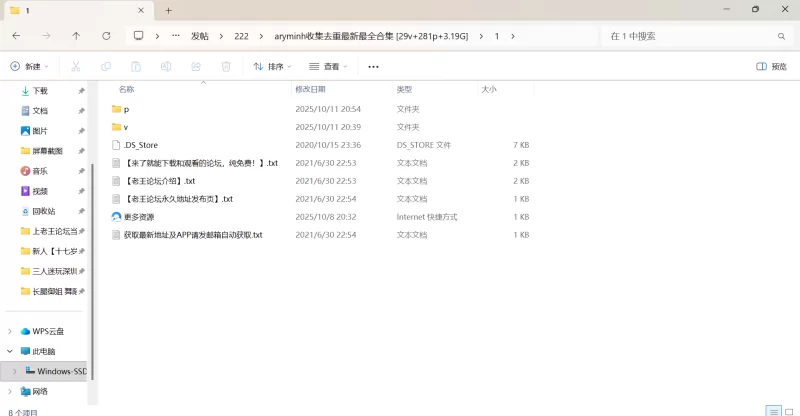 自拍 aryminh收集去重最新最全合集【29v+281p+3.19G】