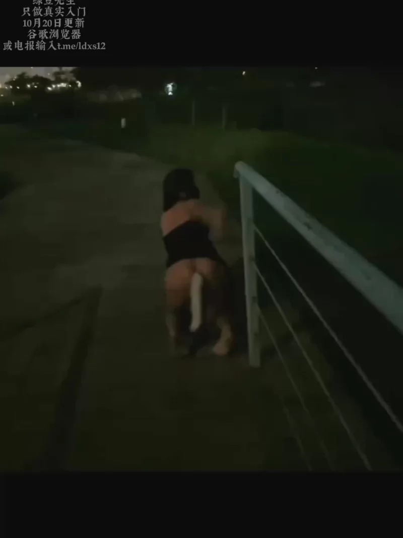 自拍 仙人掌   想象一下，晚上在公园遛母”狗“是多么快哉有【1+300M】