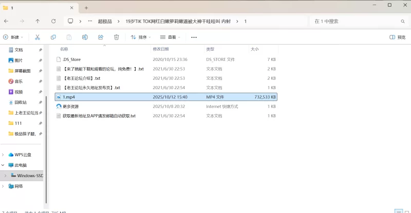 自拍 19岁TIK TOK网红白嫩萝莉嫩逼被大神干哇哇叫 内射【1v+714m】