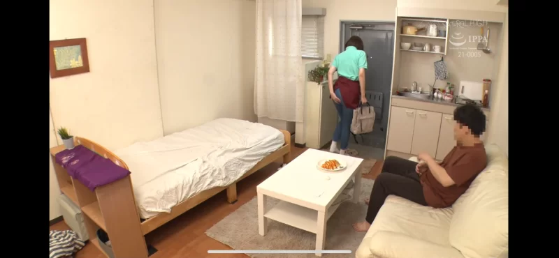 剧情 N社剧情片：上门家政服务【1+6G】