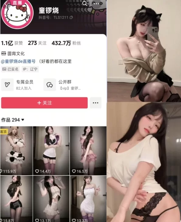 自拍 抖音 400W粉 大网红[童锣烧]性感极品身材 最新全套合集【1+1.24g】
