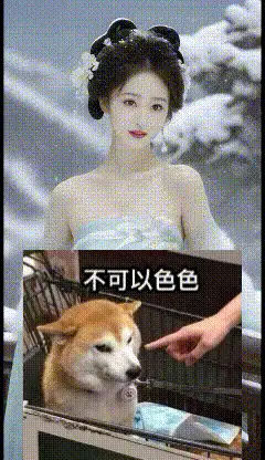 虚拟人 图生视频六（内附图生视频地址）【2P2V+20M】