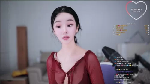 日韩主播 [韩国美女直播]20251029【合集+22.5G】