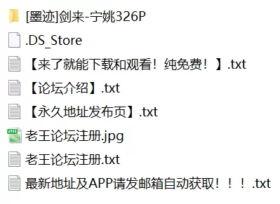 有撸点 [墨迹]剑来-宁姚【326P+823M】