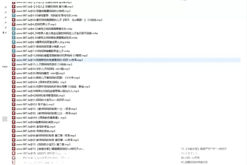 其他 R18母系音声精品合集594V/29.1G【1+29G】