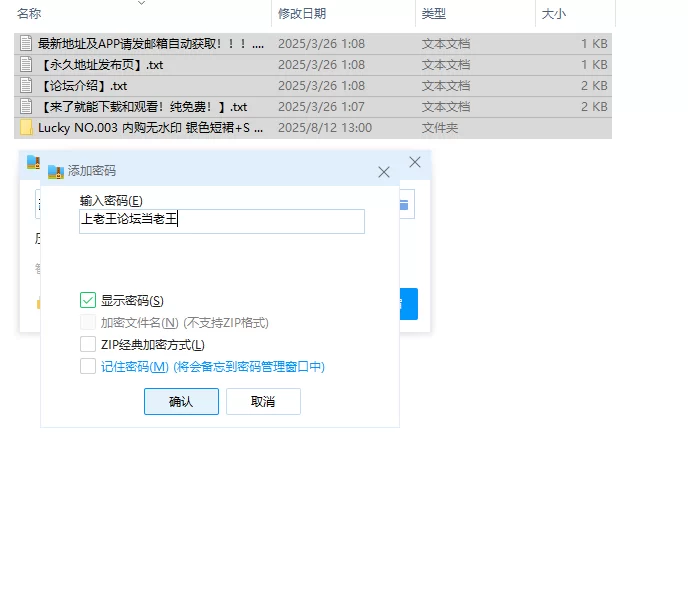 漏点 Lucky NO.003 内购无水印 银色短裙+S 番外篇有漏点花絮视频【110P6V+1.4G】