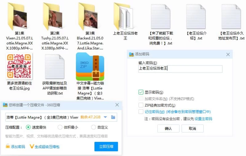 中文字幕 [中字]剧情电影“洛蒂” Lottie Magne主演 全3集 TVB联合出品【3V+10.83G】