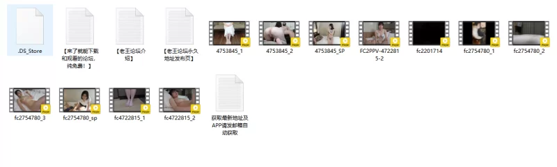 合集 不能错过的高质量FC2[原档●合集15]【21V+72G】