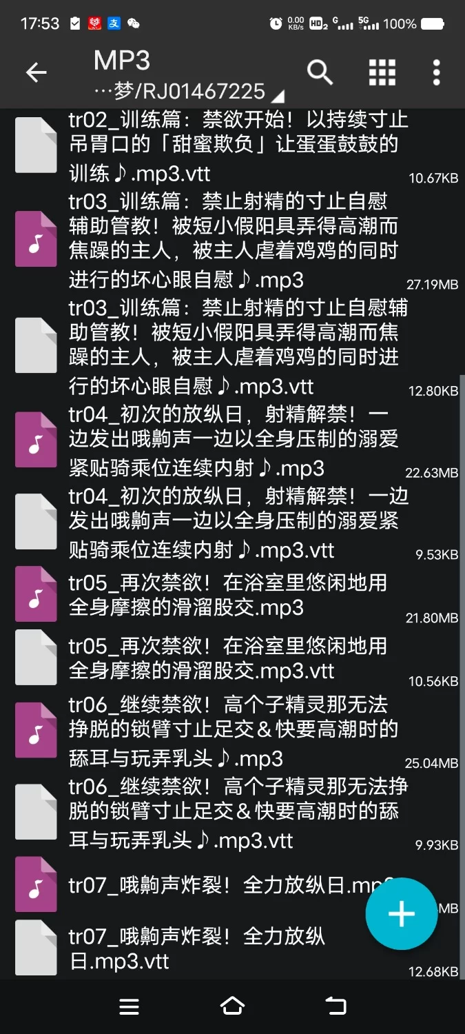 ASMR [简体中文版]沉迷于繁殖行为的天才精灵所主导的过于严苛的禁欲寸止训练～【6V+200M】