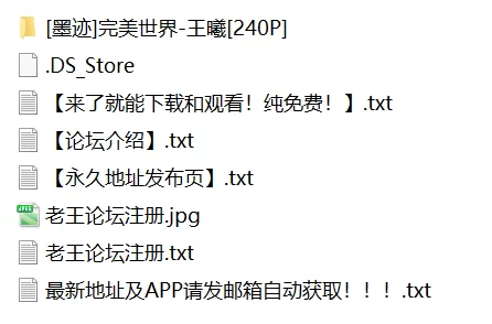 有撸点 [墨迹]完美世界-王曦【240P+652M】