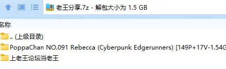 福利姬 PoppaChan NO.091 Rebecca (Cyberpunk Edgerunners)【149P+17V+1.54GB】