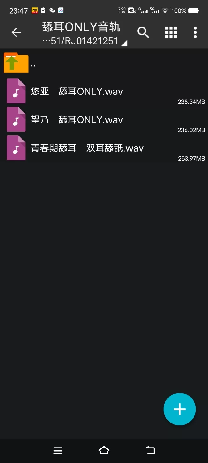 ASMR [简体中文版]与变得无法抑制舔耳冲动的银发阴沉双胞胎每天深入舔耳性交【6V+700M】