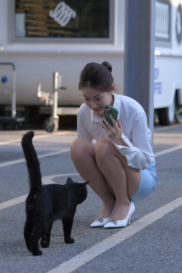 国产模特 街拍模特 若雨15 一只麋鹿摄影作品 - 浅蓝色短裙职业制服【831P+1V+图片15G+视频12G】