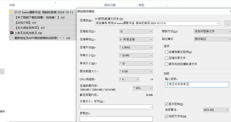 国产模特 街拍模特 若雨24 kaine摄影作品  隐秘的角落 2024-10-13【353P+7V+图片6G+视频7G】