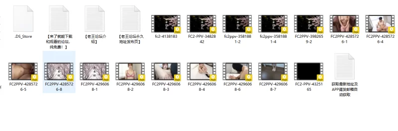 合集 FC2无码系列-千华缭乱-第一弹【16V+35G】