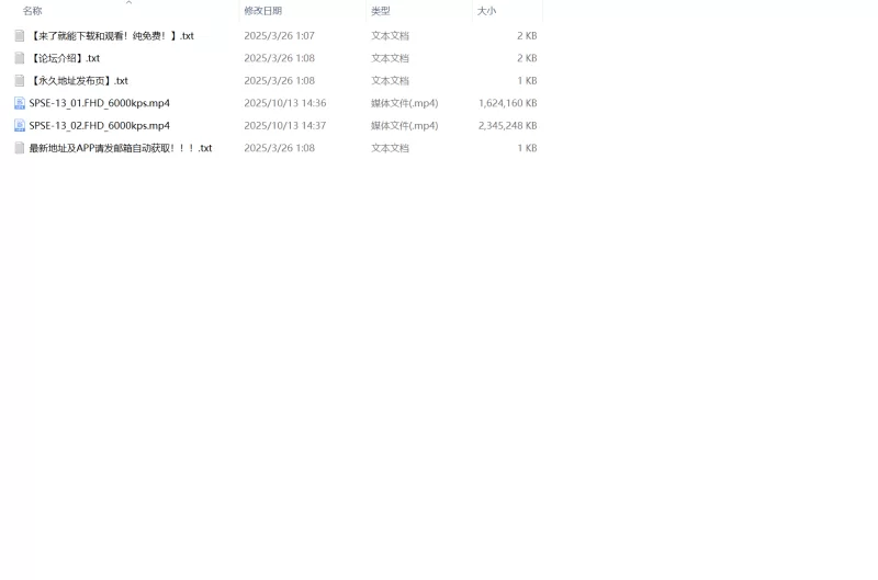 日韩AV 新督察 5.SPSE-13【2V+4G】