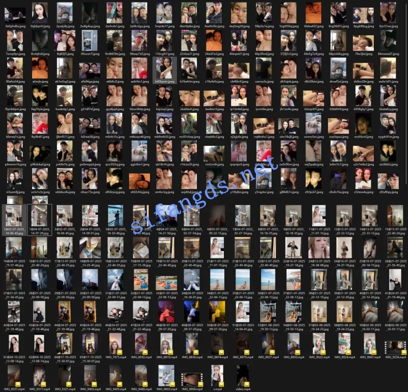 自拍 [精品]独家泄密流出系列114【203V+372P++12.6G】