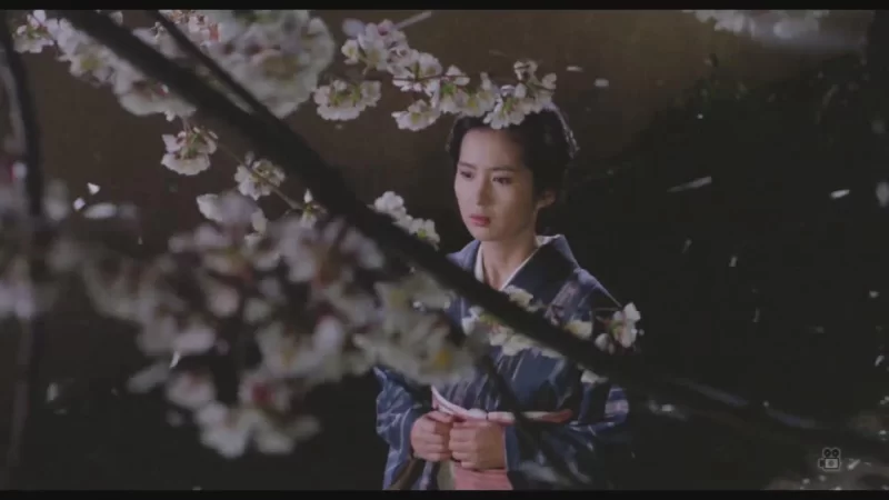 日本 春之钟 绝色美女【1+3.87G】