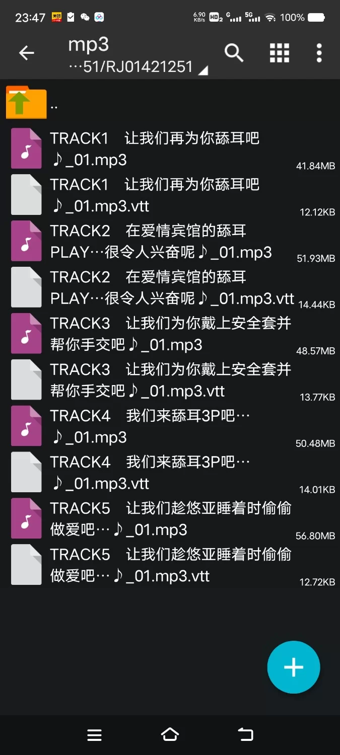 ASMR [简体中文版]与变得无法抑制舔耳冲动的银发阴沉双胞胎每天深入舔耳性交【6V+700M】