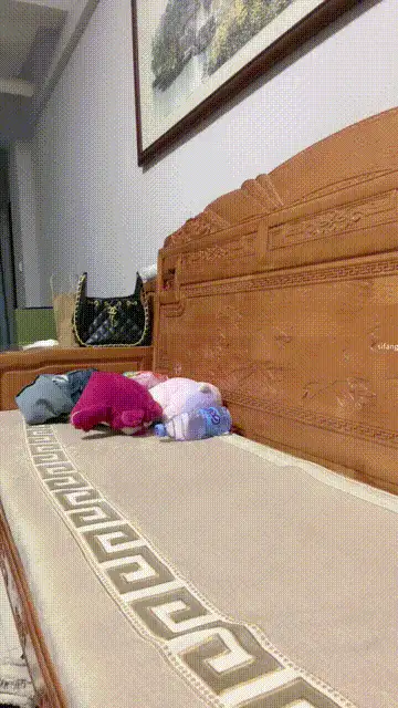 美女御姐 新品福利，阿黑颜小母狗，舞蹈女学生[06年美少女]道具【2+3271MB】