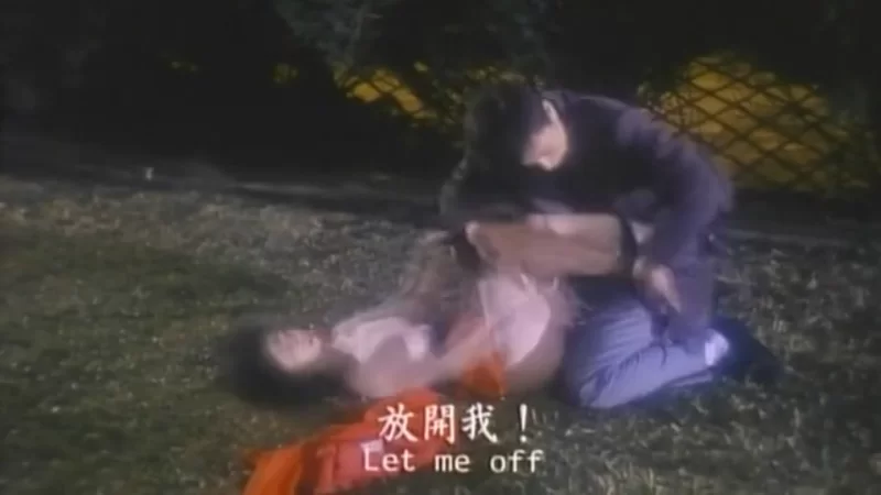 港台 鸡年大姦情【v1+2g】