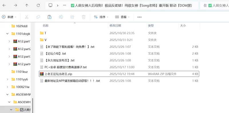 福利姬 纯欲女神『song老师』重开版联动『DOM黑宫』【NV+4.5G】