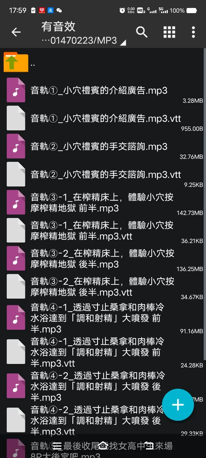 ASMR [繁体中文版][全程后宫最多8p]蜜宴礼仪司～奢华酒店的浓厚榨精极致款待【8V+1G】