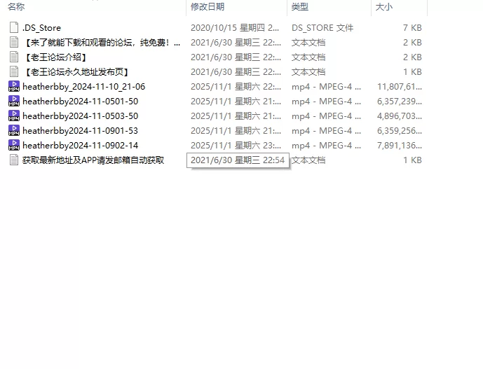 合集 全网百万粉丝馒头粉逼巨乳COSER肉感御姐Heatherbby【10V+76G】