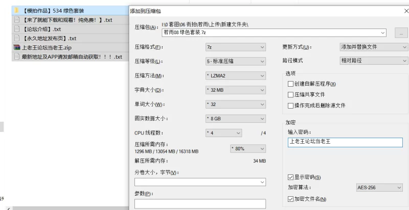 国产模特 街拍模特 若雨09  一始街拍作品 - 沿海小城的玫瑰月 绿色【634P+1V+28.7G】