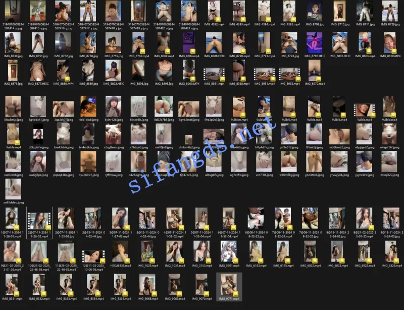 自拍 [精品]独家泄密流出系列114【203V+372P++12.6G】