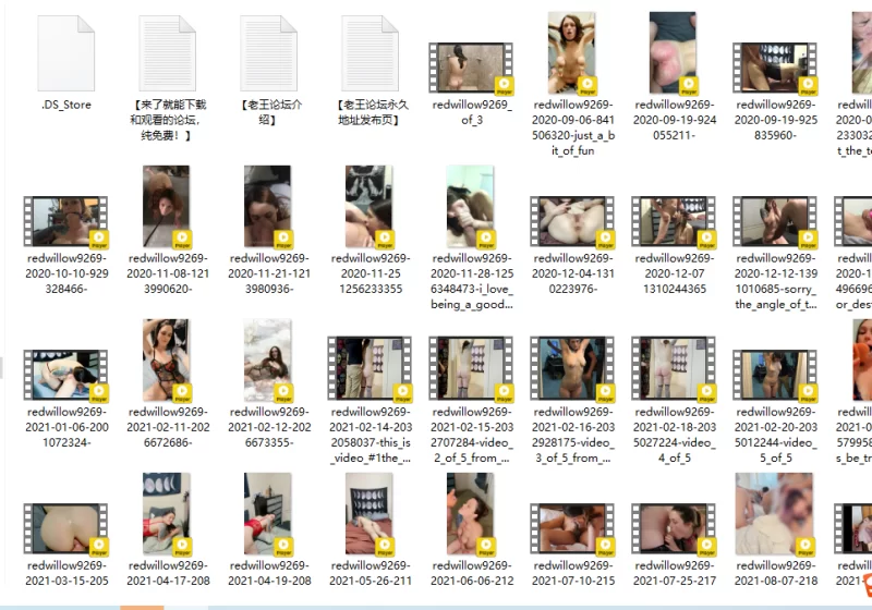 合集 超爱淫趴的淫荡媚黑母狗人妻redwillow9269合集【116V+20G】