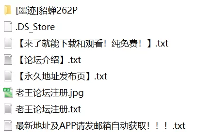 有撸点 墨迹-貂蝉【262P+625M】