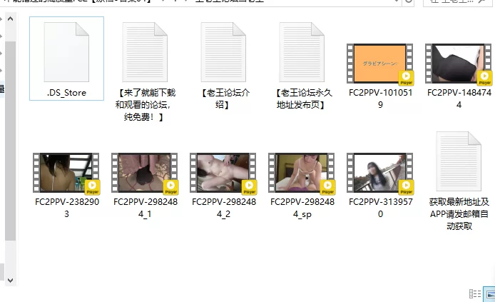 合集 不能错过的高质量FC2[原档●合集04]【12V+61G】